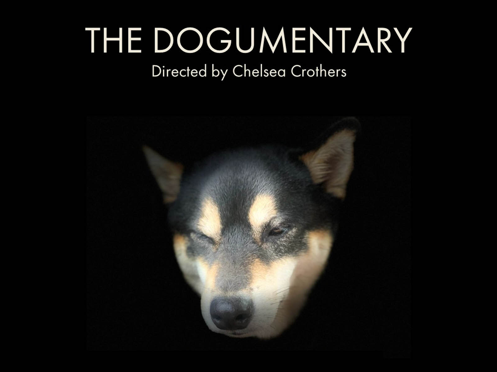 WEB THUMB The Dogumentary copy